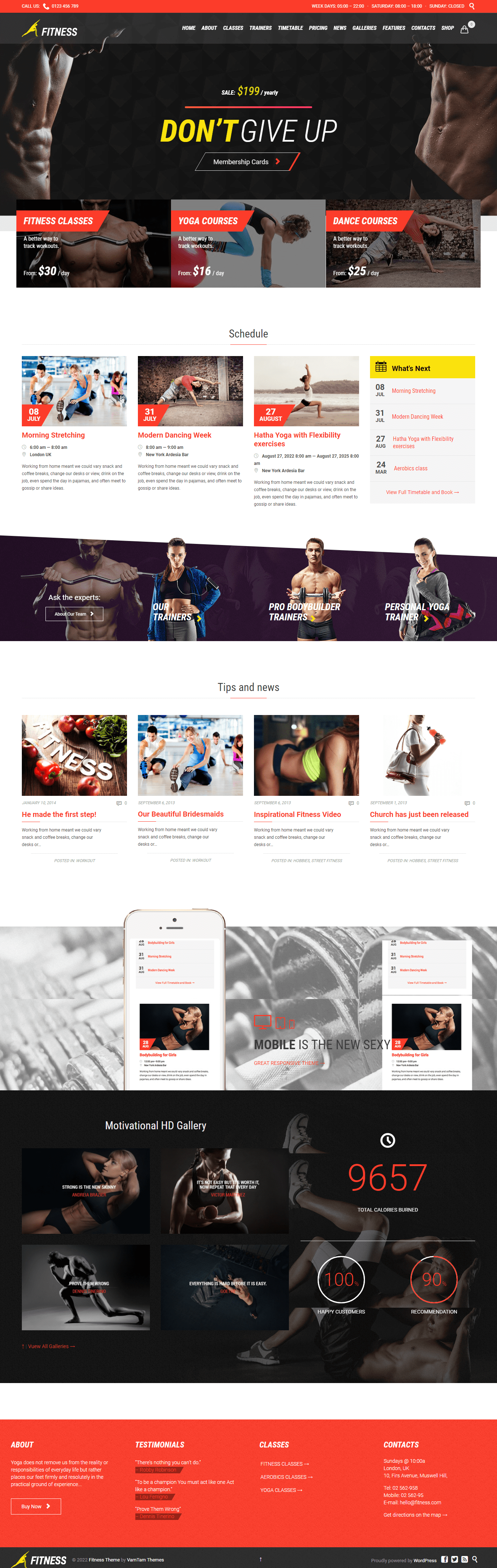 fitness wellness