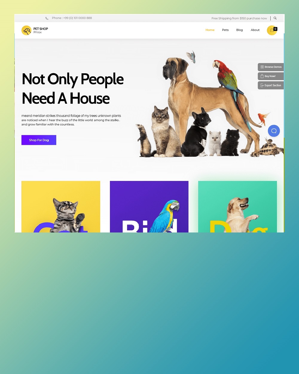 phlox pet shop cover