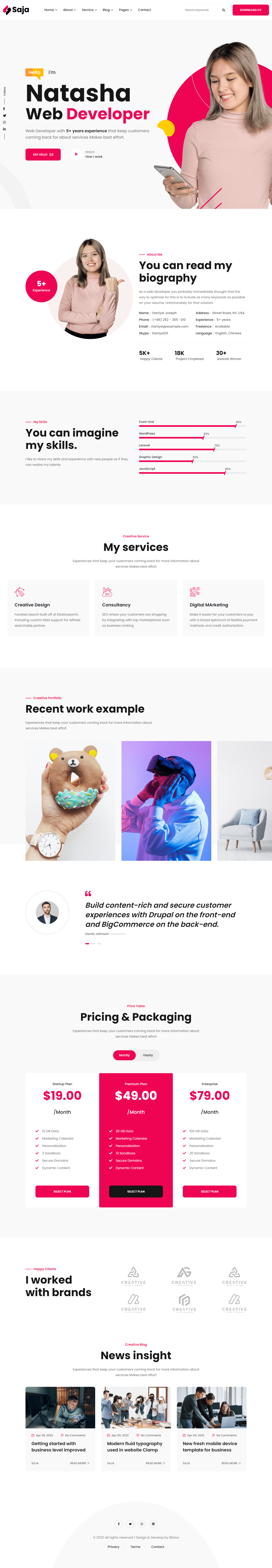saja web developer