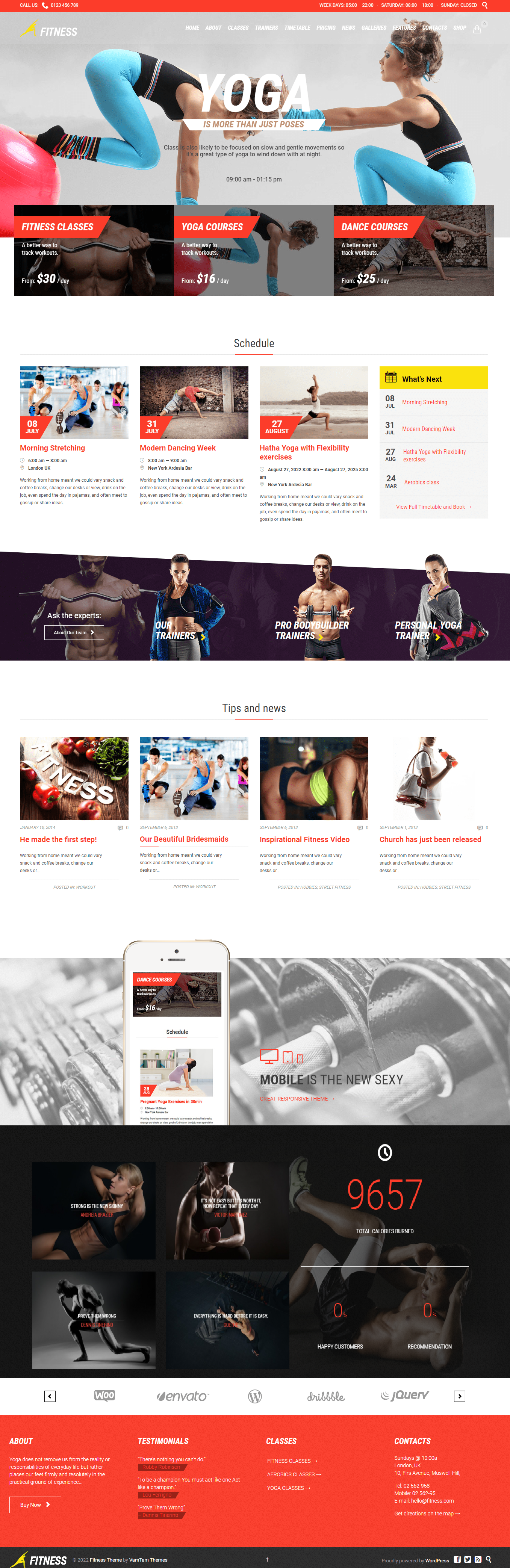 wellness fitnes training 1